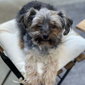 Meet your Posher, Raeane